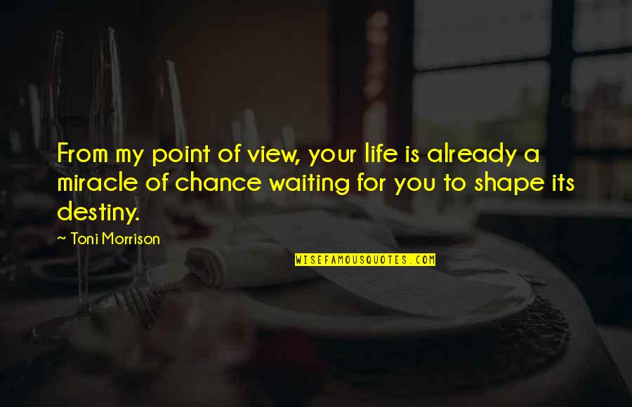 Great Seahawk Quotes By Toni Morrison: From my point of view, your life is