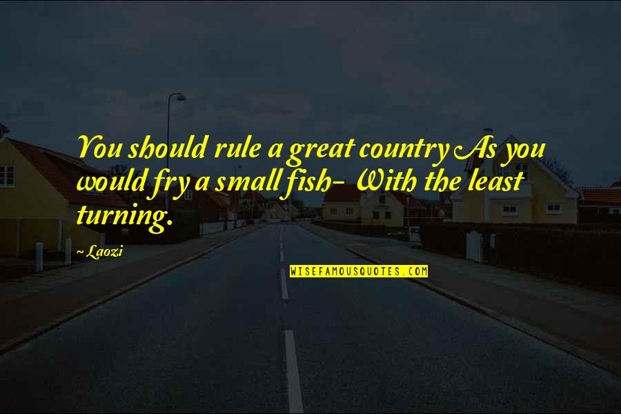 Great Small Quotes By Laozi: You should rule a great country As you
