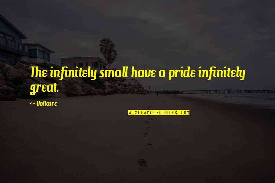 Great Small Quotes By Voltaire: The infinitely small have a pride infinitely great.
