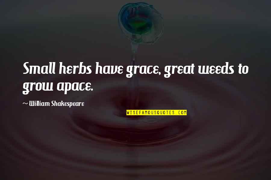 Great Small Quotes By William Shakespeare: Small herbs have grace, great weeds to grow Great Small Quotes By William Shakespeare: Small herbs have grace, great weeds to grow