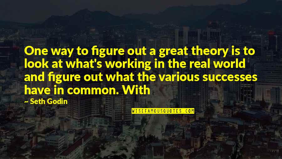Great Successes Quotes By Seth Godin: One way to figure out a great theory