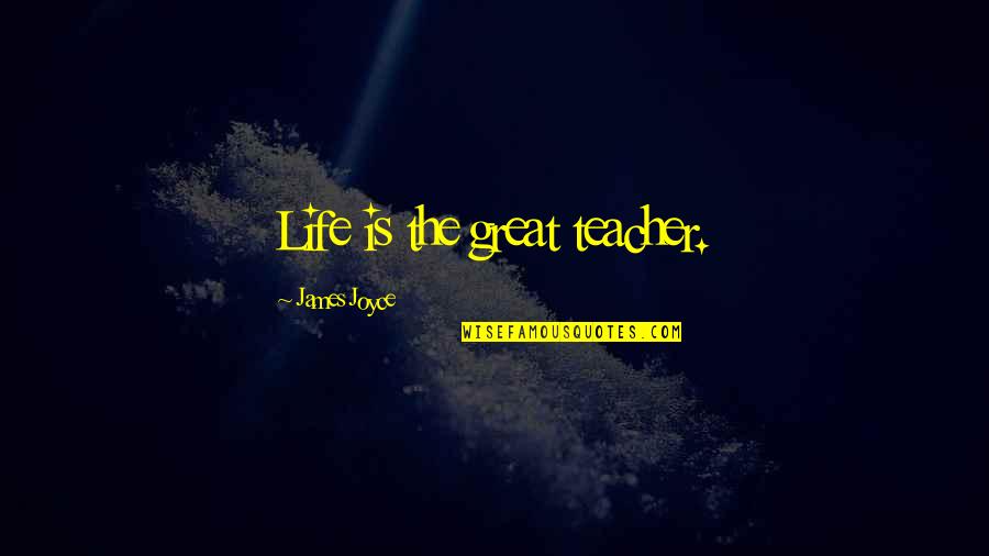 Great Teacher Quotes By James Joyce: Life is the great teacher.