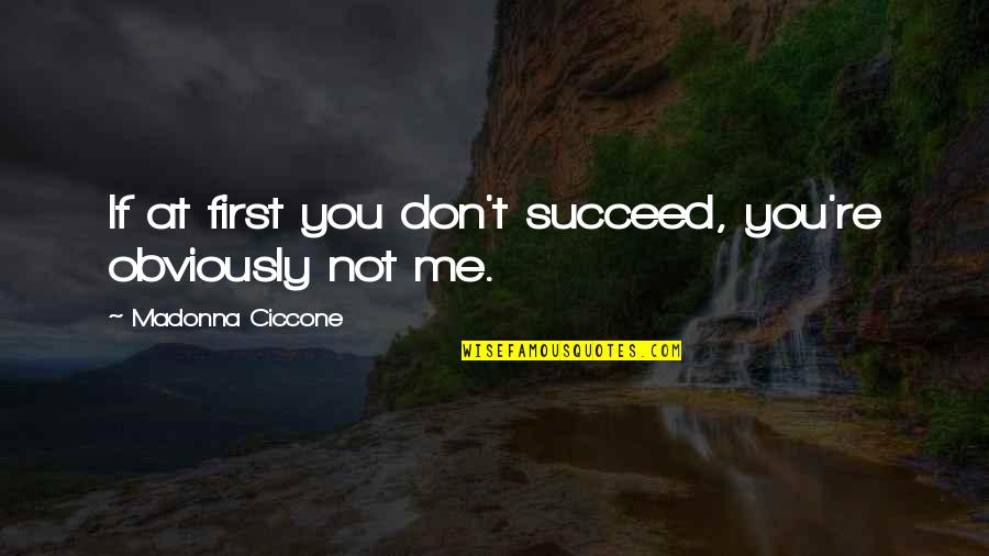 Great Telangana Quotes By Madonna Ciccone: If at first you don't succeed, you're obviously
