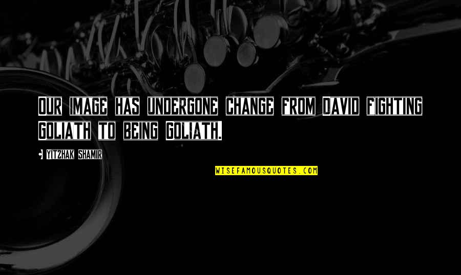 Great Times Ahead Quotes By Yitzhak Shamir: Our image has undergone change from David fighting