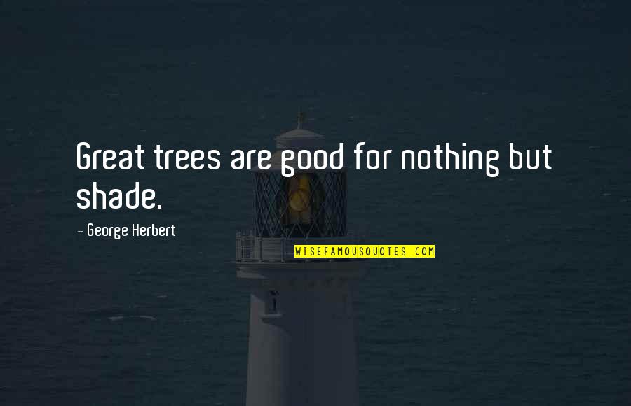 Great Trees Quotes By George Herbert: Great trees are good for nothing but shade.
