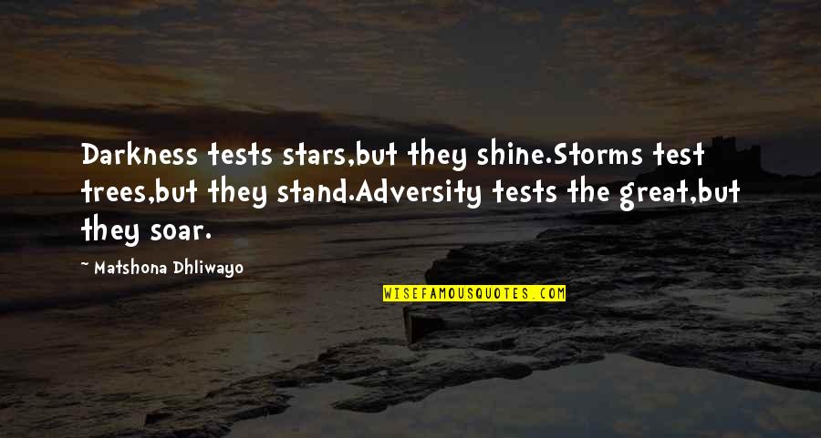 Great Trees Quotes By Matshona Dhliwayo: Darkness tests stars,but they shine.Storms test trees,but they