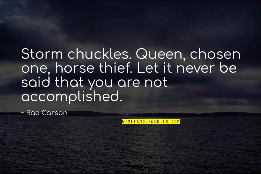 Great Upbeat Quotes By Rae Carson: Storm chuckles. Queen, chosen one, horse thief. Let