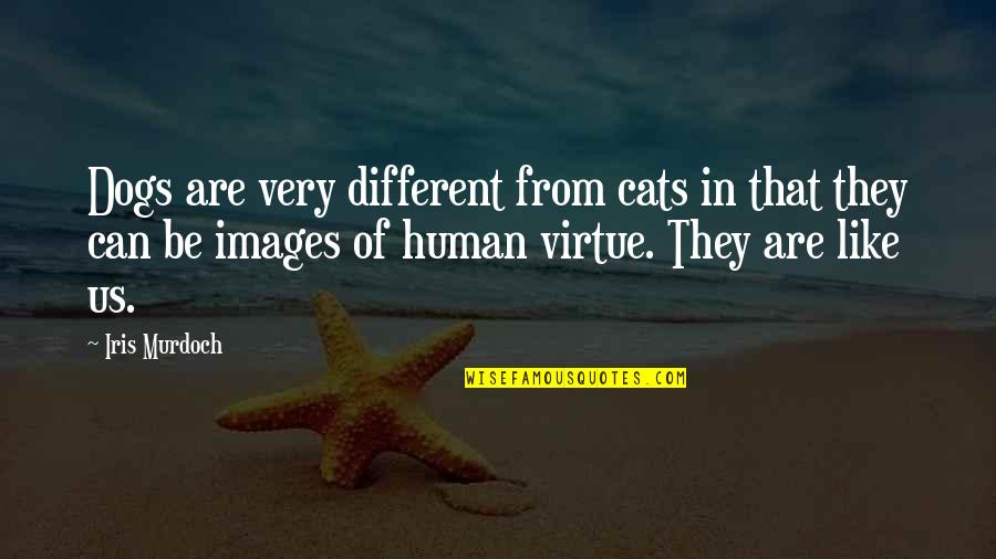 Great Violinist Quotes By Iris Murdoch: Dogs are very different from cats in that