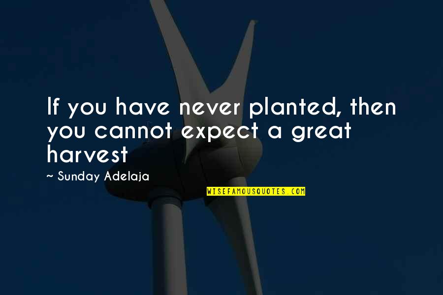 Great Wealth Quotes By Sunday Adelaja: If you have never planted, then you cannot