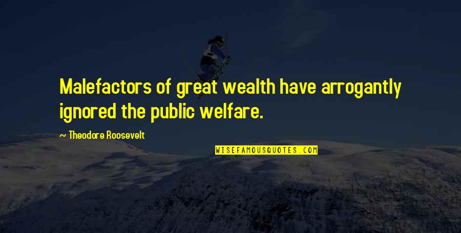 Great Wealth Quotes By Theodore Roosevelt: Malefactors of great wealth have arrogantly ignored the