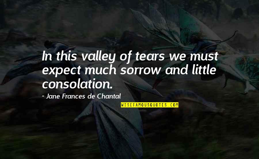 Greateer Quotes By Jane Frances De Chantal: In this valley of tears we must expect Greateer Quotes By Jane Frances De Chantal: In this valley of tears we must expect