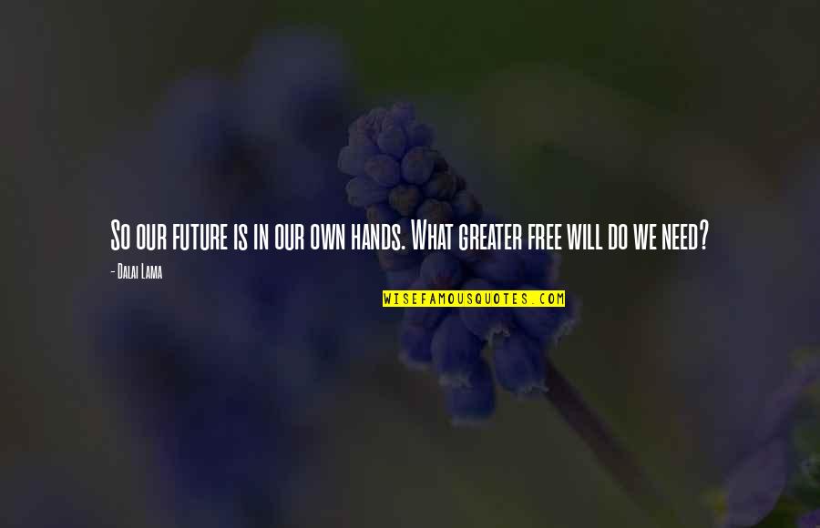 Greater Future Quotes By Dalai Lama: So our future is in our own hands.