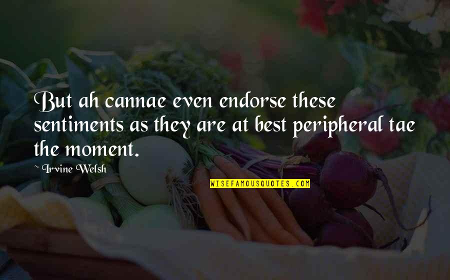 Greatest Accomplishment Quotes By Irvine Welsh: But ah cannae even endorse these sentiments as Greatest Accomplishment Quotes By Irvine Welsh: But ah cannae even endorse these sentiments as