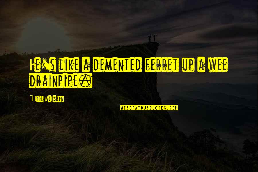 Greatest Achievement In Life Quotes By Bill McLaren: He's like a demented ferret up a wee Greatest Achievement In Life Quotes By Bill McLaren: He's like a demented ferret up a wee