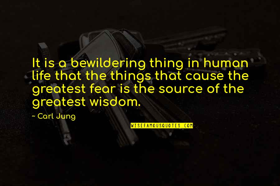 Greatest Fear Quotes By Carl Jung: It is a bewildering thing in human life