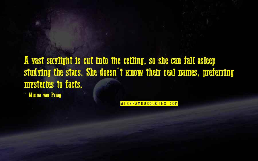 Greatest Luffy Quotes By Menna Van Praag: A vast skylight is cut into the ceiling, Greatest Luffy Quotes By Menna Van Praag: A vast skylight is cut into the ceiling,