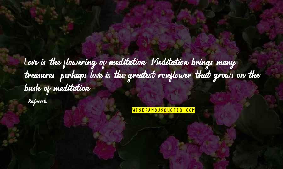 Greatest Treasures Quotes By Rajneesh: Love is the flowering of meditation. Meditation brings