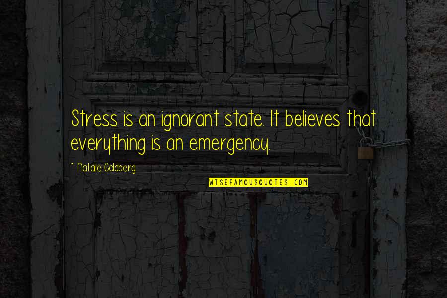 Grecia Kino Quotes By Natalie Goldberg: Stress is an ignorant state. It believes that