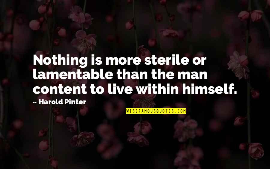 Greedy For Money Quotes By Harold Pinter: Nothing is more sterile or lamentable than the