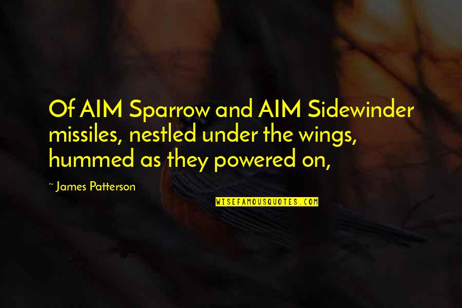 Greek Great Quotes By James Patterson: Of AIM Sparrow and AIM Sidewinder missiles, nestled