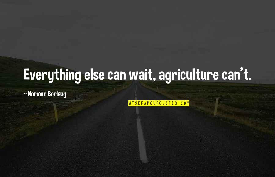 Green Alien Quotes By Norman Borlaug: Everything else can wait, agriculture can't. Green Alien Quotes By Norman Borlaug: Everything else can wait, agriculture can't.