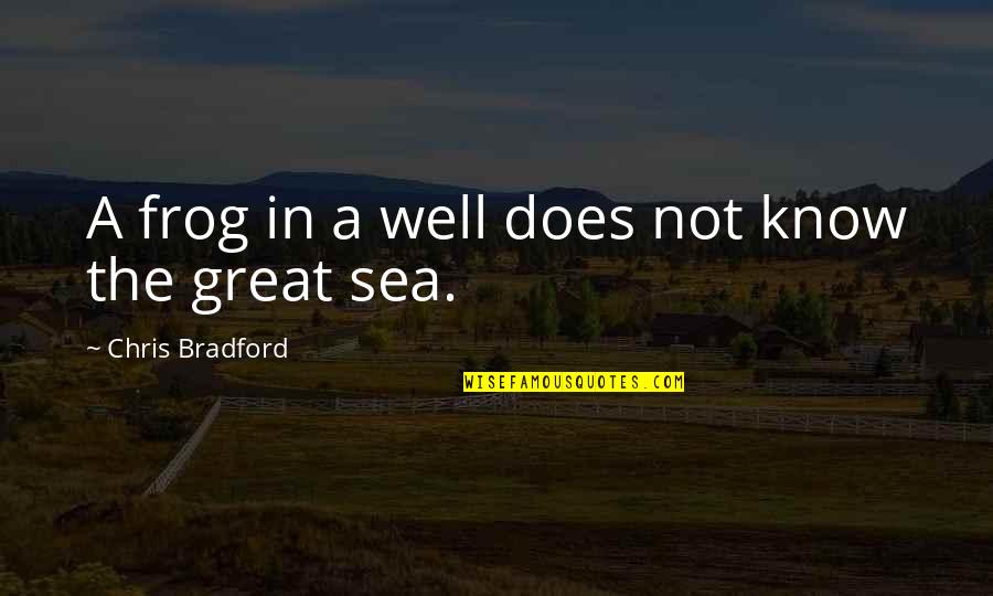 Green And Clean Quotes By Chris Bradford: A frog in a well does not know Green And Clean Quotes By Chris Bradford: A frog in a well does not know