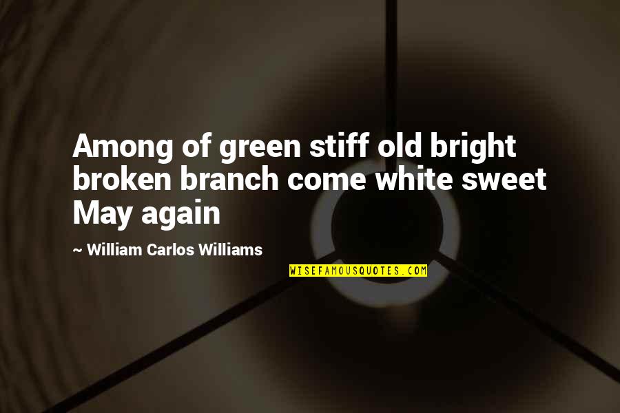 Green And White Quotes By William Carlos Williams: Among of green stiff old bright broken branch Green And White Quotes By William Carlos Williams: Among of green stiff old bright broken branch