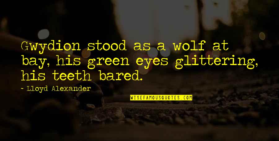 Green Bay Quotes By Lloyd Alexander: Gwydion stood as a wolf at bay, his