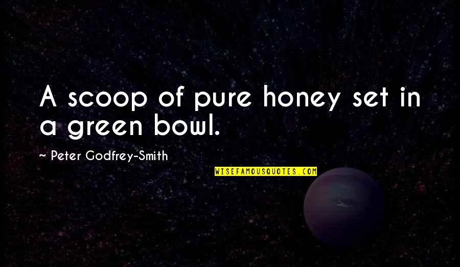 Green Bowls Quotes By Peter Godfrey-Smith: A scoop of pure honey set in a
