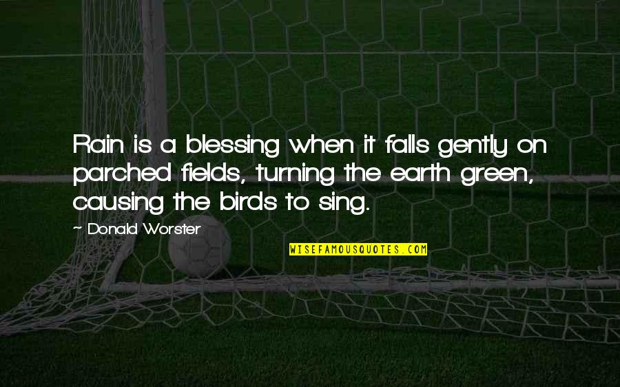 Green Earth Quotes By Donald Worster: Rain is a blessing when it falls gently