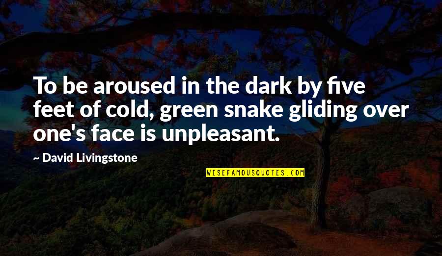 Green Face Quotes By David Livingstone: To be aroused in the dark by five