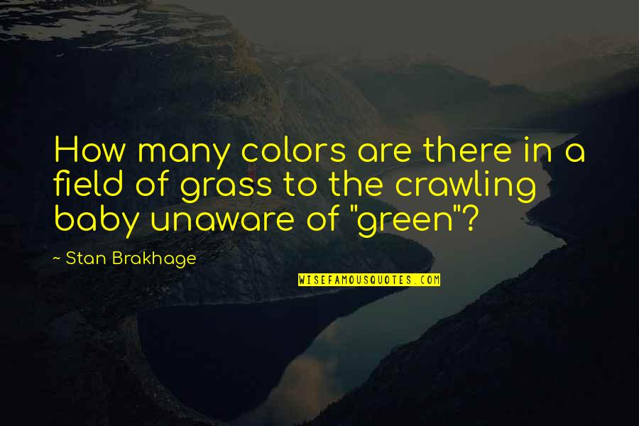 Green Field Quotes By Stan Brakhage: How many colors are there in a field