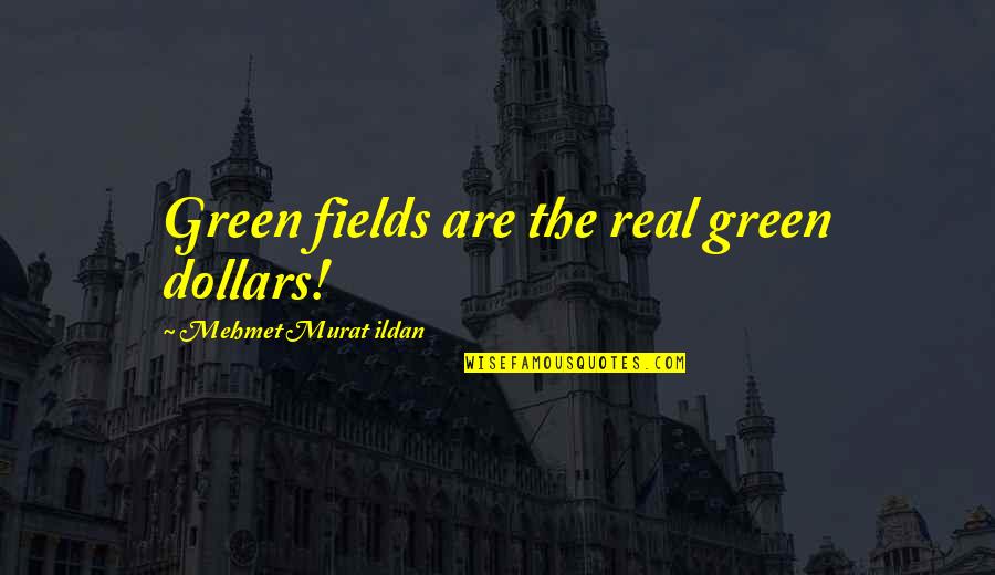 Green Fields Quotes By Mehmet Murat Ildan: Green fields are the real green dollars!