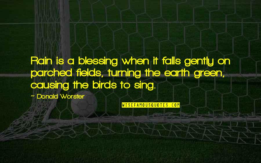 Green Is Quotes By Donald Worster: Rain is a blessing when it falls gently Green Is Quotes By Donald Worster: Rain is a blessing when it falls gently