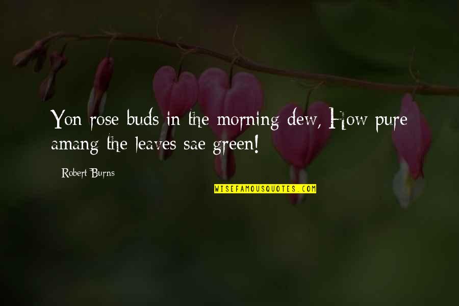 Green Leaves Quotes By Robert Burns: Yon rose-buds in the morning-dew, How pure amang