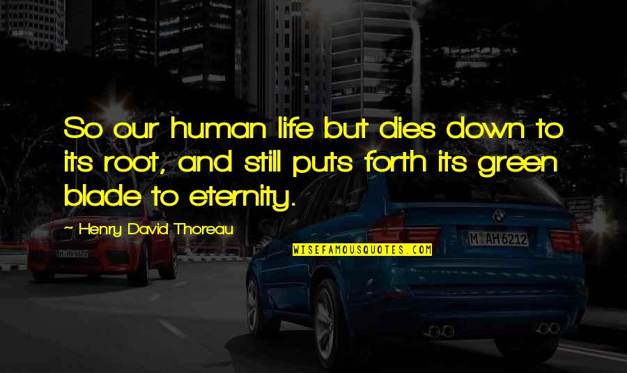 Green Positive Quotes By Henry David Thoreau: So our human life but dies down to