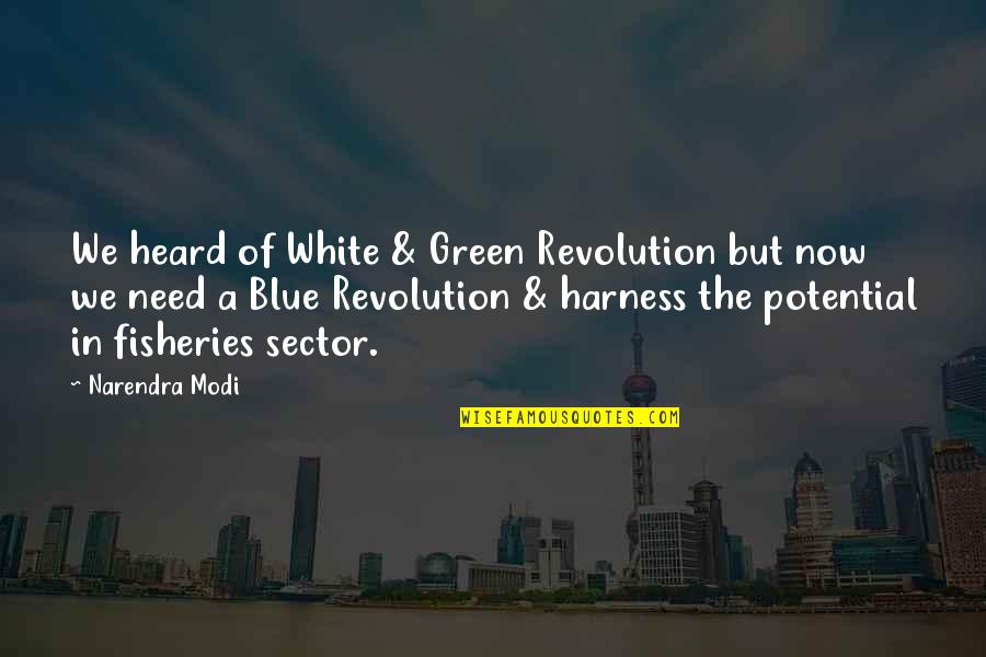 Green Revolution Quotes By Narendra Modi: We heard of White & Green Revolution but