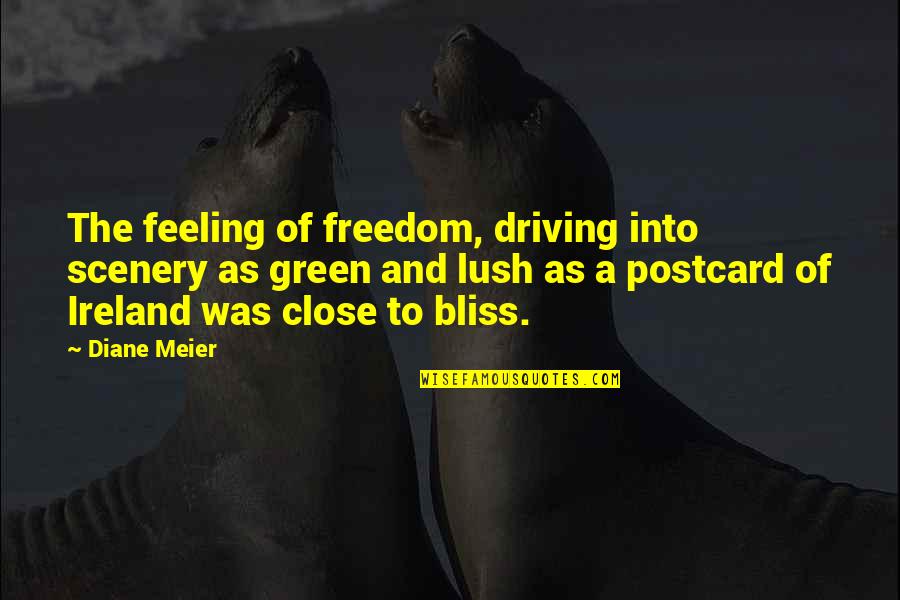 Green Scenery Quotes By Diane Meier: The feeling of freedom, driving into scenery as