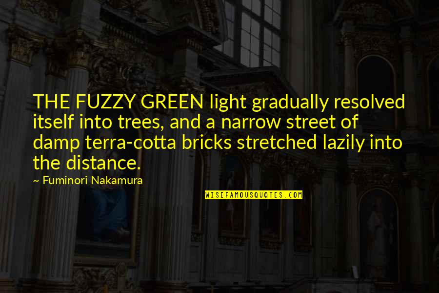 Green Street 3 Quotes By Fuminori Nakamura: THE FUZZY GREEN light gradually resolved itself into