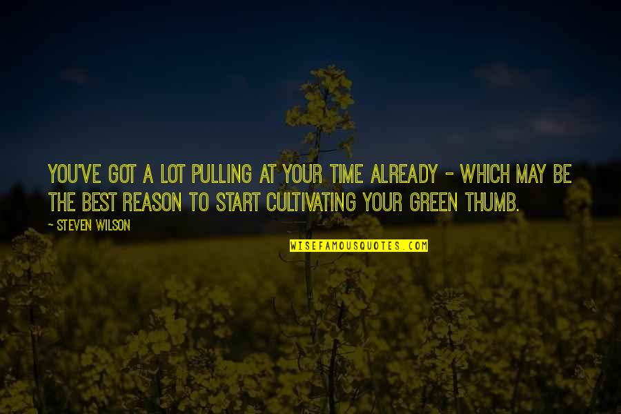 Green Thumbs Quotes By Steven Wilson: You've got a lot pulling at your time