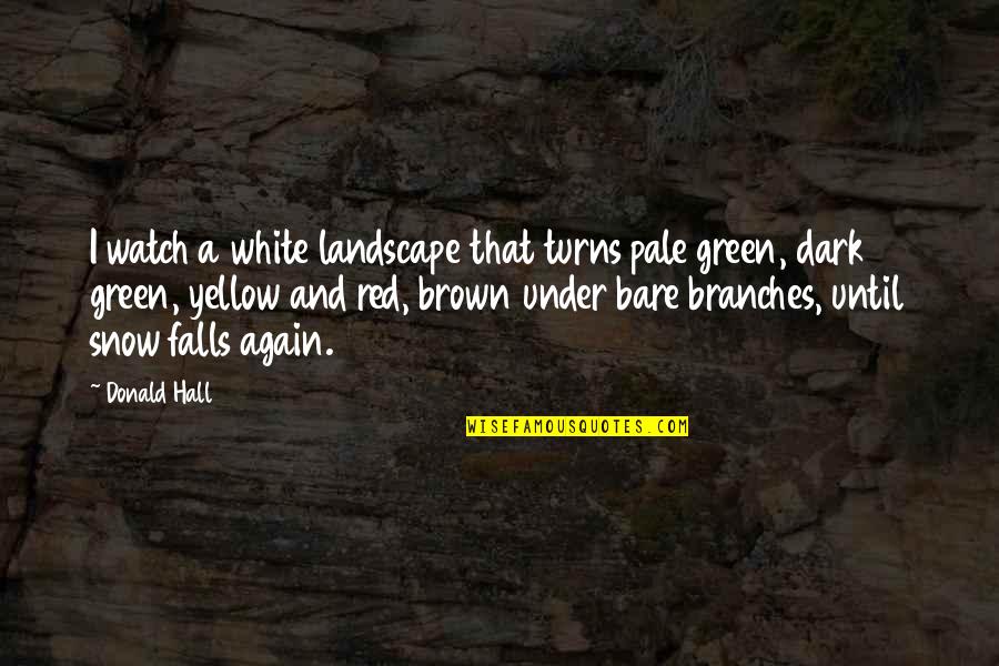 Green Yellow Quotes By Donald Hall: I watch a white landscape that turns pale