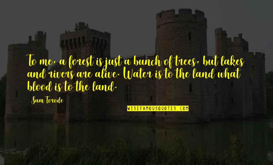 Greenawalts Nursery Quotes By Sam Torode: To me, a forest is just a bunch Greenawalts Nursery Quotes By Sam Torode: To me, a forest is just a bunch
