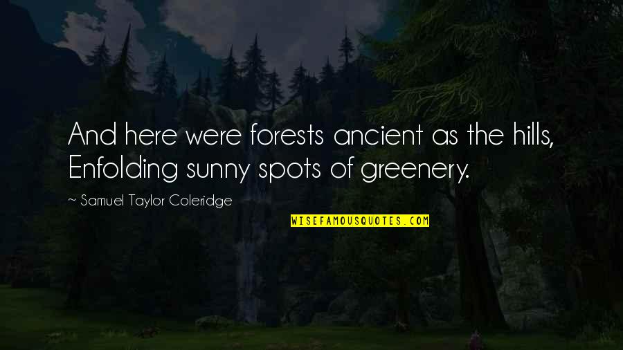 Greenery And Nature Quotes By Samuel Taylor Coleridge: And here were forests ancient as the hills,