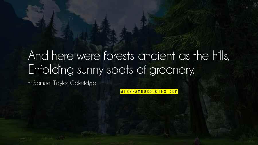 Greenery Quotes By Samuel Taylor Coleridge: And here were forests ancient as the hills,