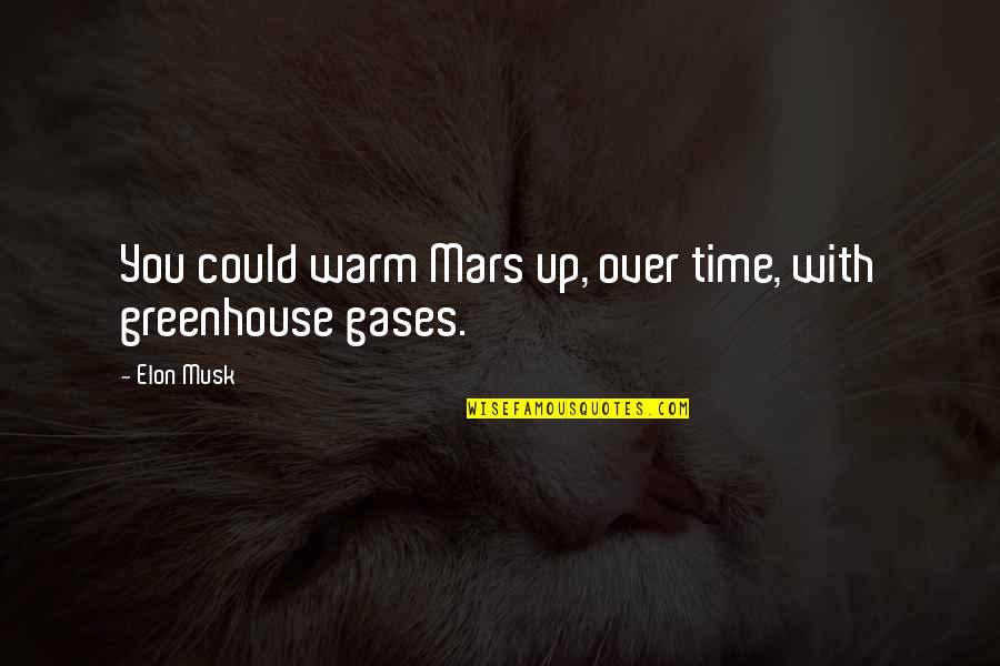 Greenhouse Gases Quotes By Elon Musk: You could warm Mars up, over time, with