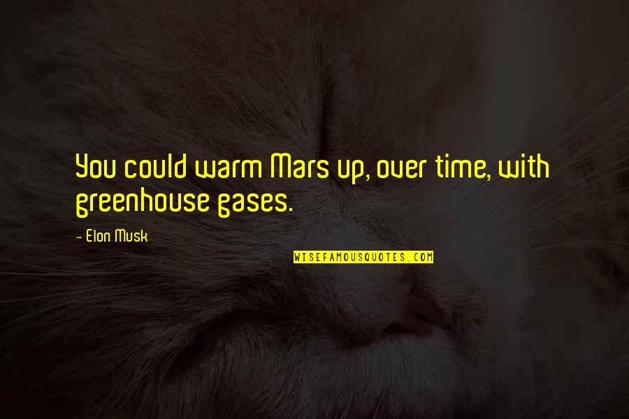 Greenhouse Quotes By Elon Musk: You could warm Mars up, over time, with