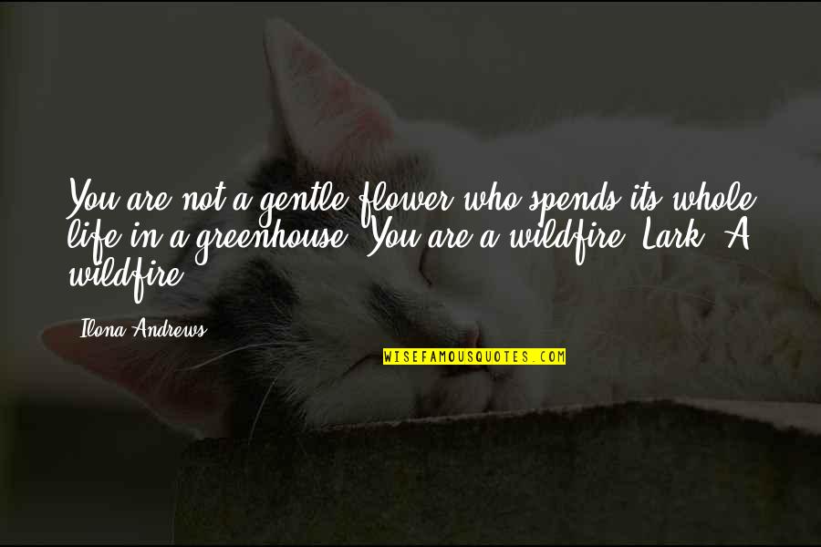 Greenhouse Quotes By Ilona Andrews: You are not a gentle flower who spends