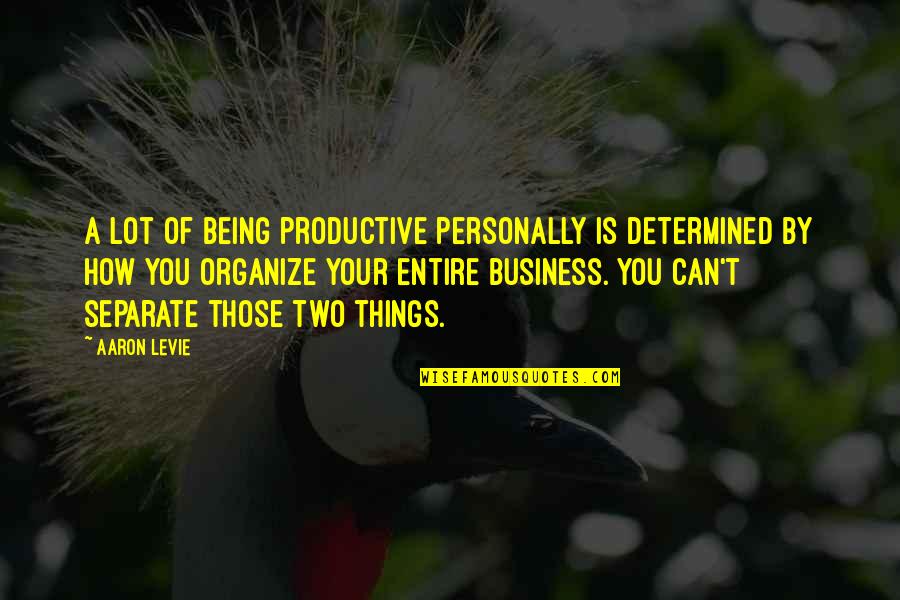 Greening The Environment Quotes By Aaron Levie: A lot of being productive personally is determined