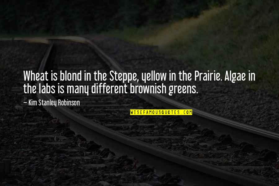 Greens Quotes By Kim Stanley Robinson: Wheat is blond in the Steppe, yellow in