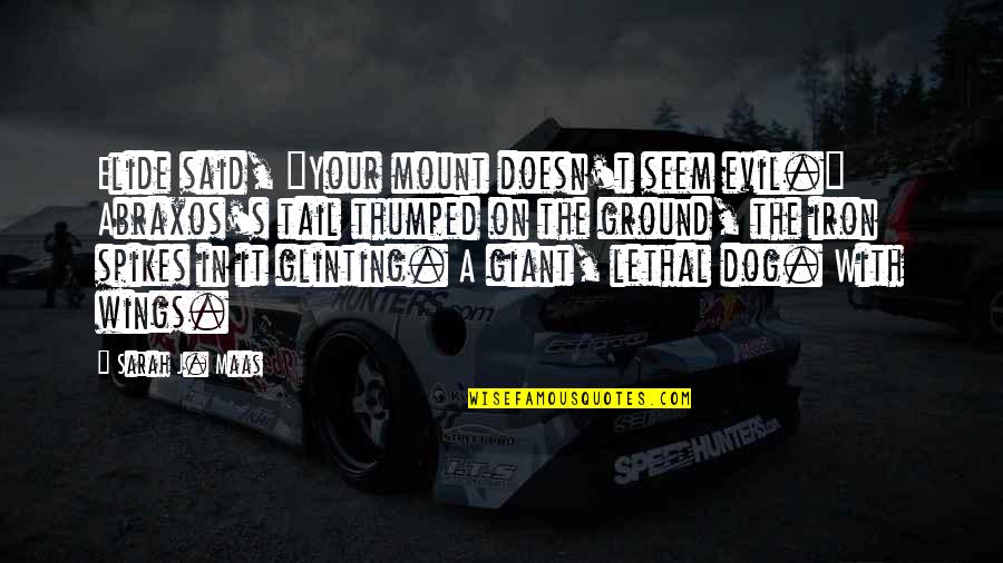Greensky Bluegrass Quotes By Sarah J. Maas: Elide said, "Your mount doesn't seem evil." Abraxos's